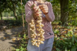 Vogeltelling en voersnoer @ NME-Centrum InBredius