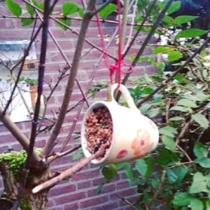 Je eigen vogelrestaurant @ NME-Centrum InBredius